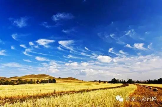 国庆,小编带你去张家口周边吃好、玩好_频道-