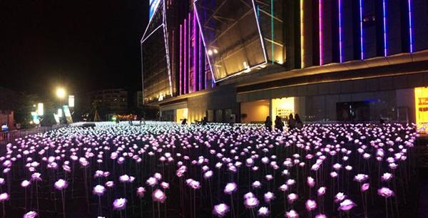 商业地标-百汇时代广场 万朵玫瑰灯海倾力绽放