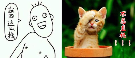 《买房别任性》05期:没钱也任性 不服来打我呀_频道-淮南_腾讯网