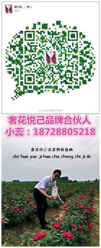 奢花悦己诚招全国代理,代理价格多少,奢花悦己是384加入吗?