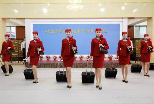惊!哈尔滨一所航空学校300多人同时入围空姐选