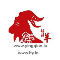 领头羊团队网赚，穷人变富新招