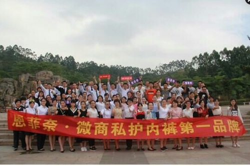 收入证明_恩菲收入