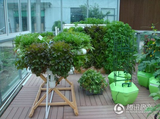 国贸仁皇 阳台上的农场创想空间体验_频道-湖