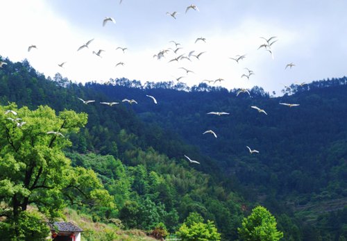 快节奏慢生活 看湖州那些舒适居住的生态盘_频