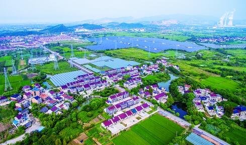 农民伯伯乡下妹_2018年农民纯收入(3)