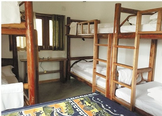 农房集体变身民宿 一座莫干山的财富经