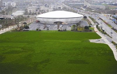 政府来当店小二 梦想小镇3月28日起航