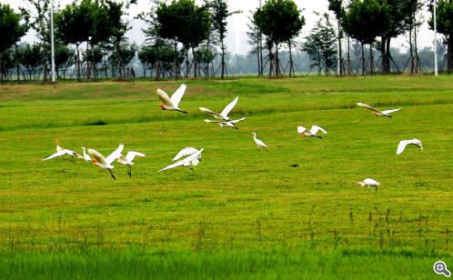 环境、生态与可持续发展_如何实现可持续发展_旅游业可持续发展论文