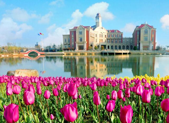 这是荷兰吗?江苏还藏着这样一个彩色世界