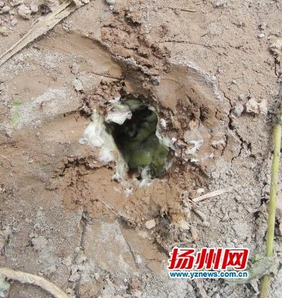扬州干枯河道挖出不明飘香液体 民工闻后头晕呕吐