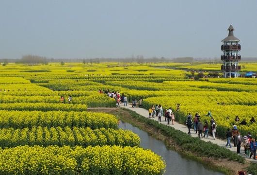 江苏七地获评"中国美丽田园" 得奖总数排第一