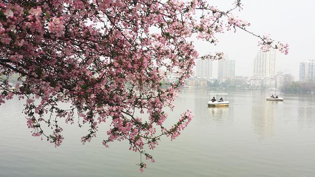 众多南京市民和外地游客排长队等候泛舟莫愁湖