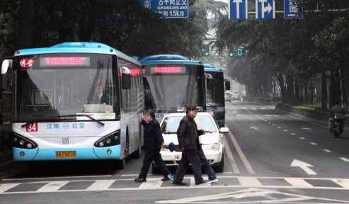 南京礼让斑马线率公交最高 九成司机礼让行人_地方站_腾讯网