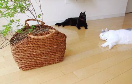 杂物和男人一样,该扔的时候就要干脆利落