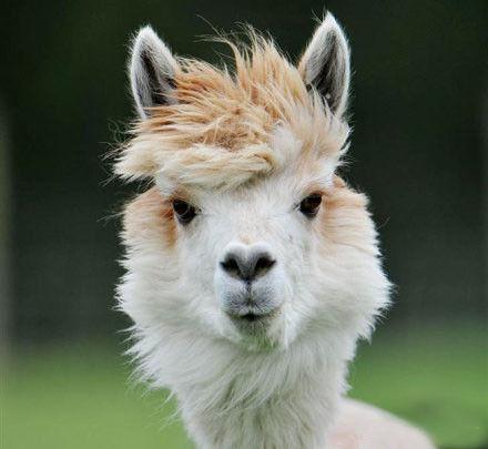 【吐槽+】眼泪换现金?快去排队!