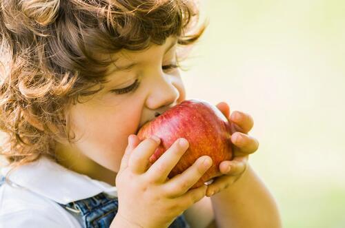 苹果煮一煮还有这种独特功效