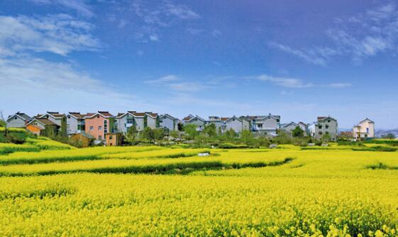 2017高淳国际慢城马拉松19日开赛 5大看点曝光_大苏网_腾讯网