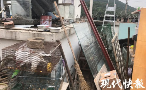 无锡一小区现“楼顶养殖场” 成天飘下鸡毛