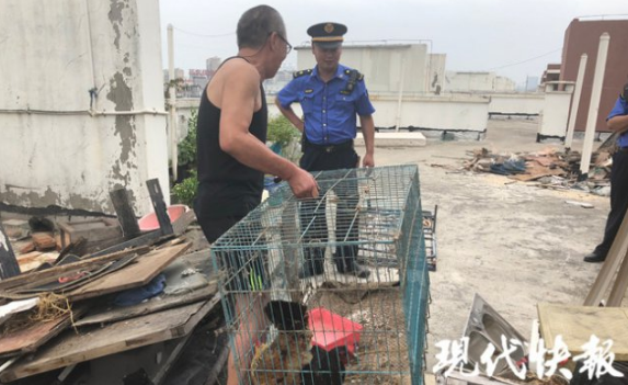 无锡一小区现“楼顶养殖场” 成天飘下鸡毛