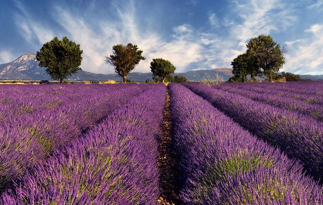 普罗旺斯最令人心旷神怡的是