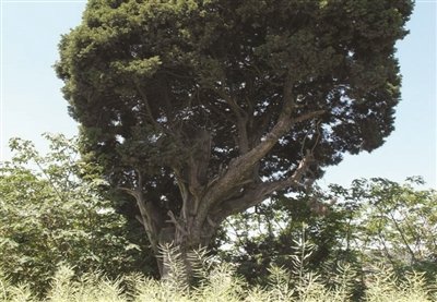 苏州昆山中荣爆炸调查:五大原因诱发事故