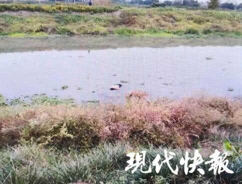 常州一渔民河边钓龙虾 拨开草丛发现一具男尸