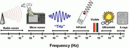 流言揭秘:安检对人体有危害吗_大燕网天津站_腾讯网