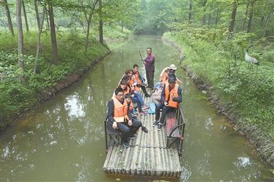 宝应湖国家湿地公园体验生态游. 沈冬兵摄