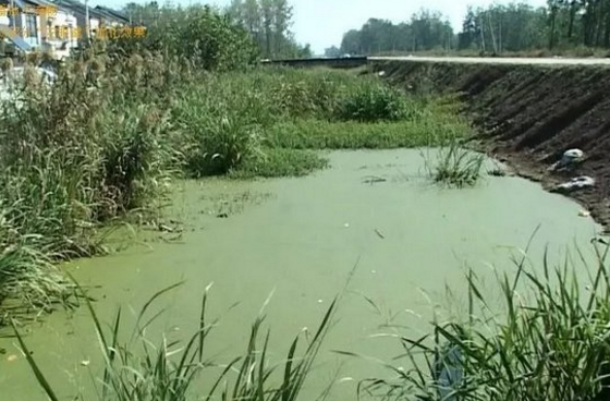 三轮车翻车4人落入水中 淮安男子一口气连救4人