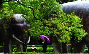 台风“卡努”说来就来 双休全省有雨