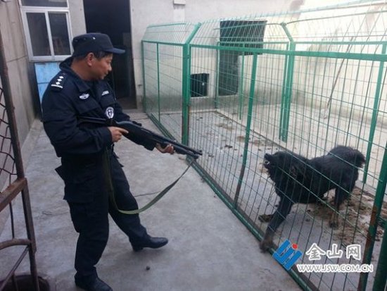 镇江谏壁一藏獒疯狂咬人 特警驰援开枪射杀