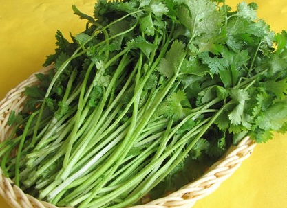 用什么方法可以治疗狐臭？狐臭小苏打有效吗？