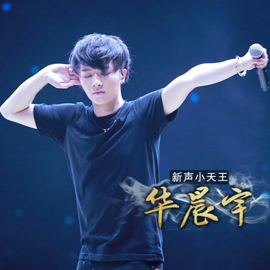 【大苏粉丝团】唱响南京2016演唱会缔造视听