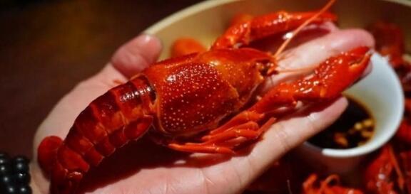【龙虾百科】闽南人口味清淡最爱冰镇小龙虾
