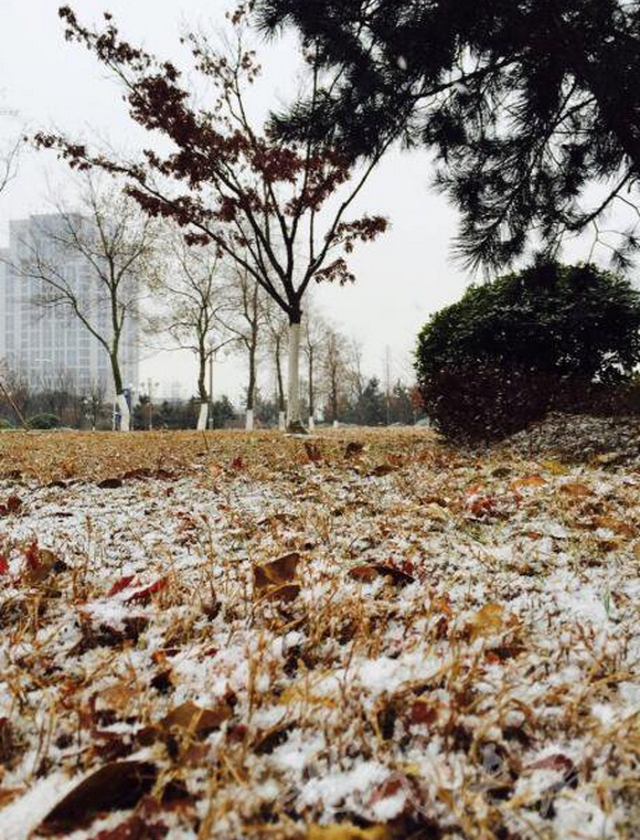 连云港徐州今晨下小雪 花果山有不少积雪