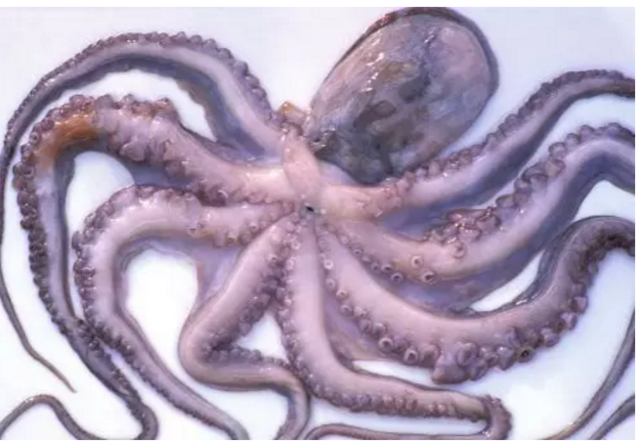 长腿靓妹带你体验和活海肠亲亲么么哒_大苏网_腾讯网