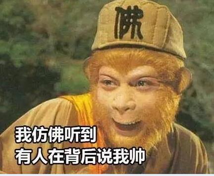 86版西游记表情a表情来袭,收藏好,没它咋过猴小可爱的你死表情包了图片