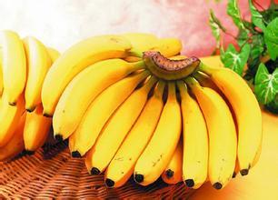 生活:吃香蕉有4大禁忌 未熟透易加重便秘