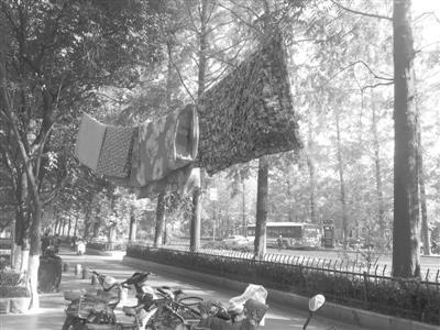 南京创建文明城市督查组抽查 不文明现象仍存