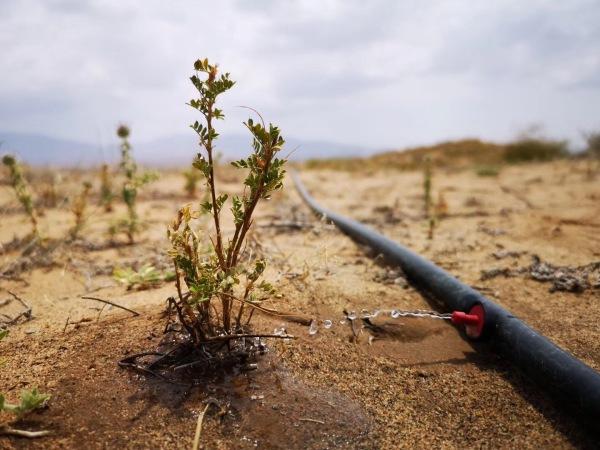 赫基集团十万绿林 一个新的起点