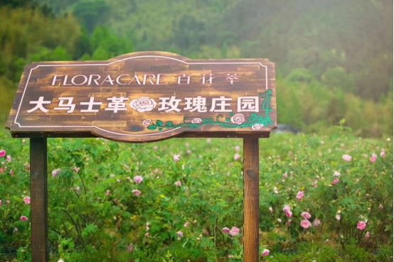 2018年上海美博会|百花萃的鲜花旅程即将开启
