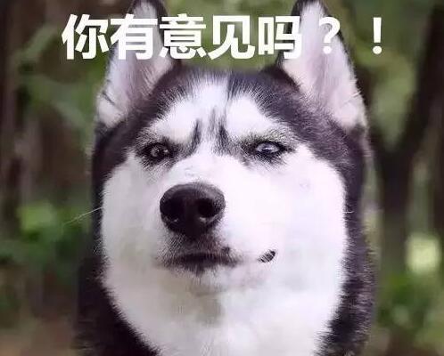 【文娱福利社】《一条狗的使命》献映 参与话