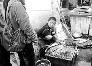 苏州杀鱼弟映射家庭教育痛点 缺少沟通和疏解