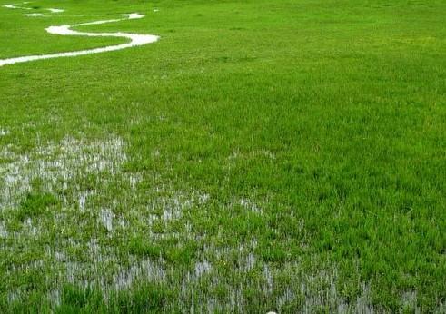 坐上铁马去草原 BJ40的霸气