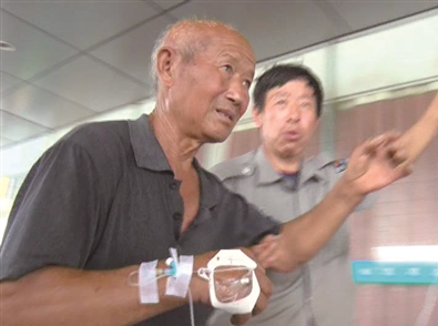 因伐树时惊动马蜂 南京6名伐树工被蜇伤