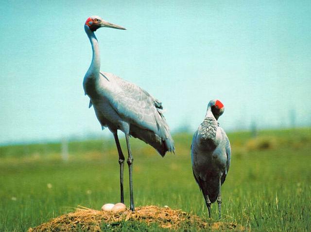 苏南苏北13市城市印象 看一眼就知道是哪