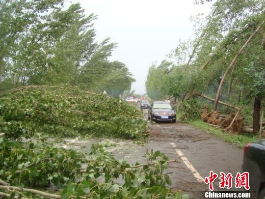 徐州丰县遭强雷雨大风冰雹天气 部分民房倒损