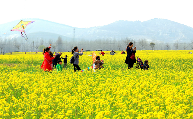 直播预告:徐州铜山吕梁风景区油菜花海,十里杏花村