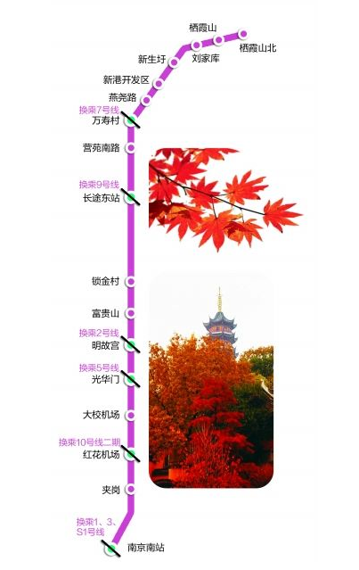 上传短视频赢66666元正值赏枫的季节,最近一到周末,南京栖霞山风景区